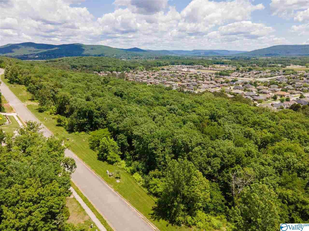7017 Ridge Crest Road - Photo 1