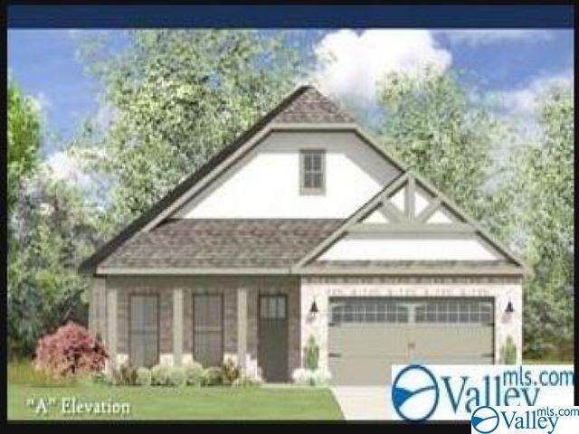 127 Caspian Lane - Photo 1