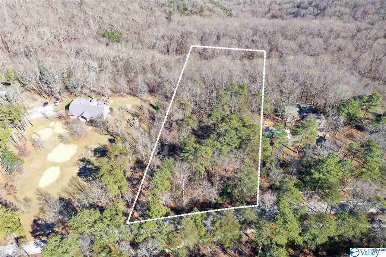 13339 South Shawdee Road - Photo 1