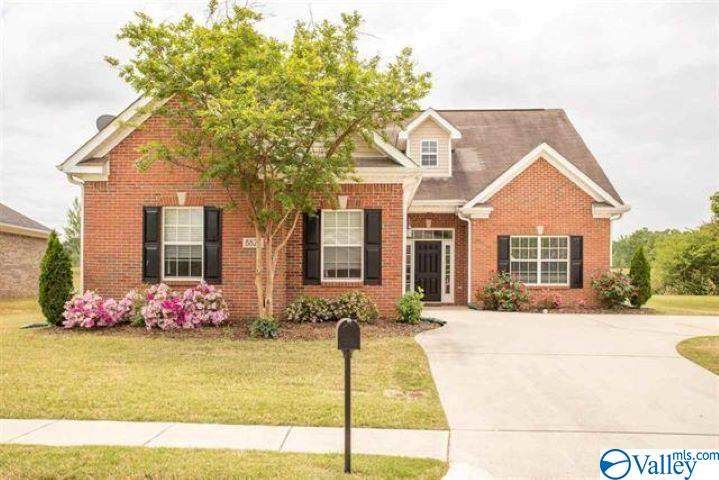 8823 Belle Mor Drive - Photo 1
