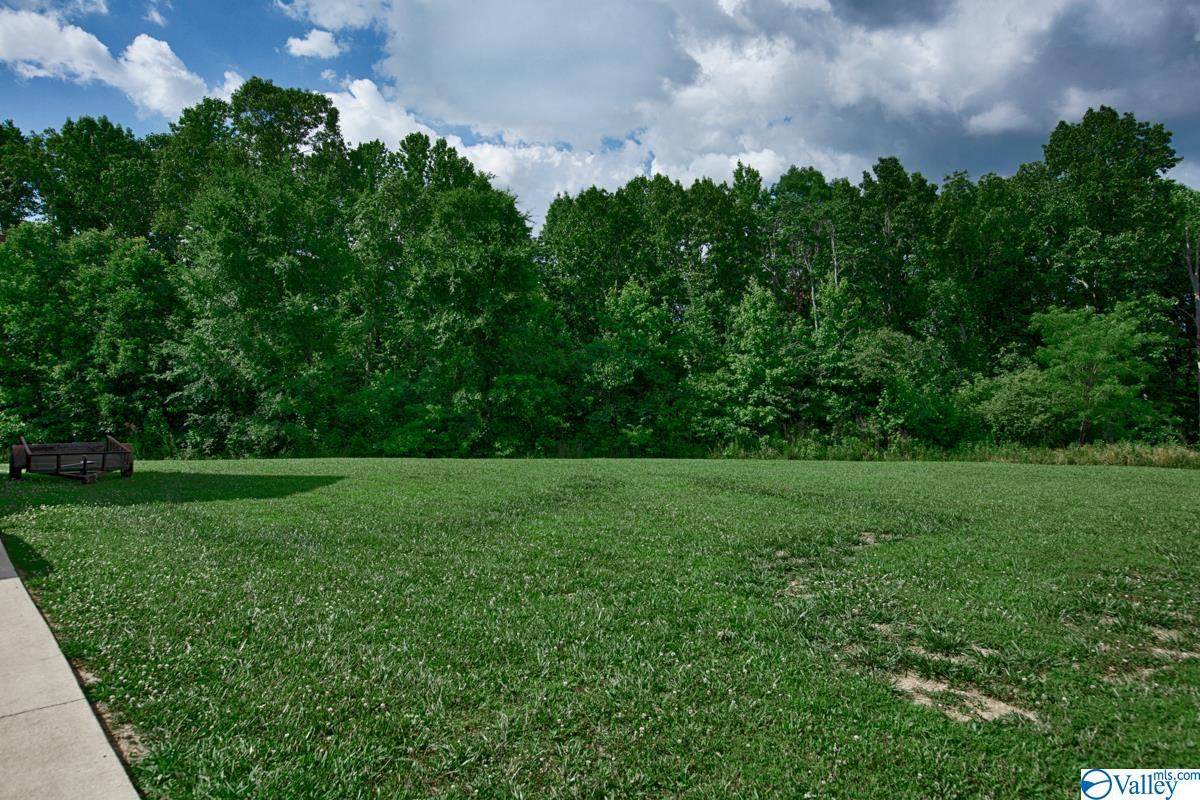 151B Poling Drive - Photo 1