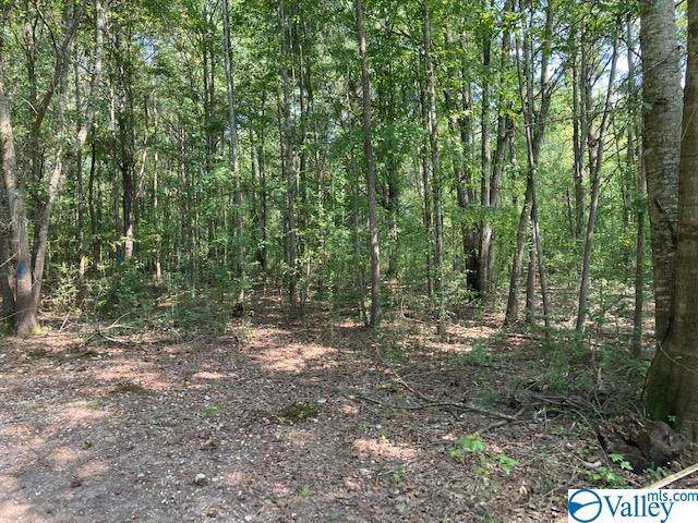 Lot 144 Spring Creek Campground - Photo 1