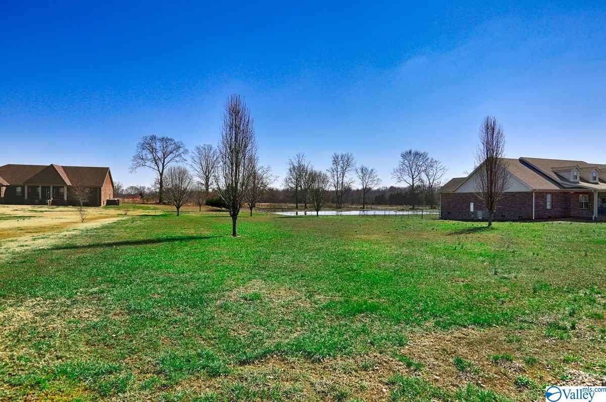 26059 Ashton Lane - Photo 1