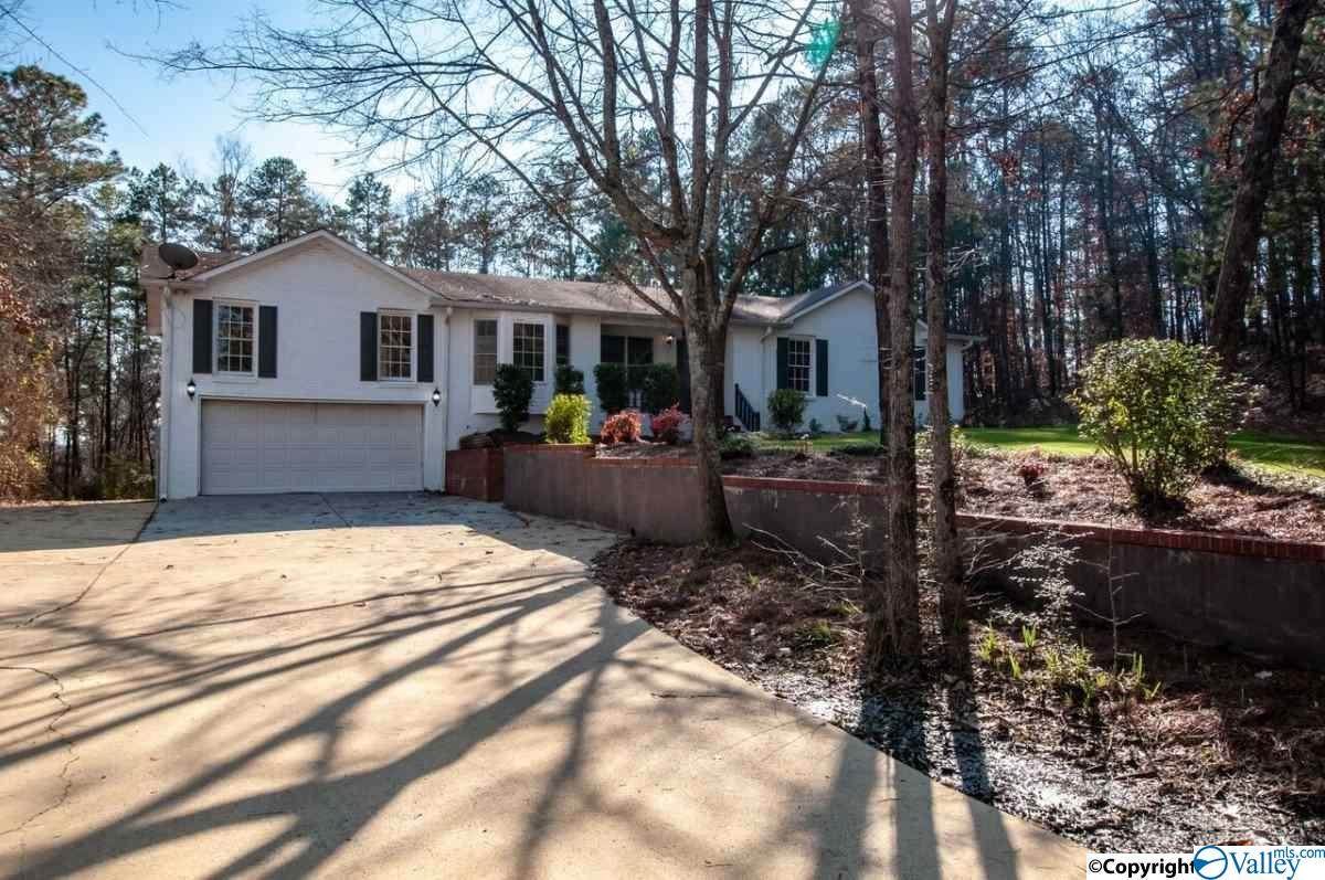 85 County Road 453 - Photo 1