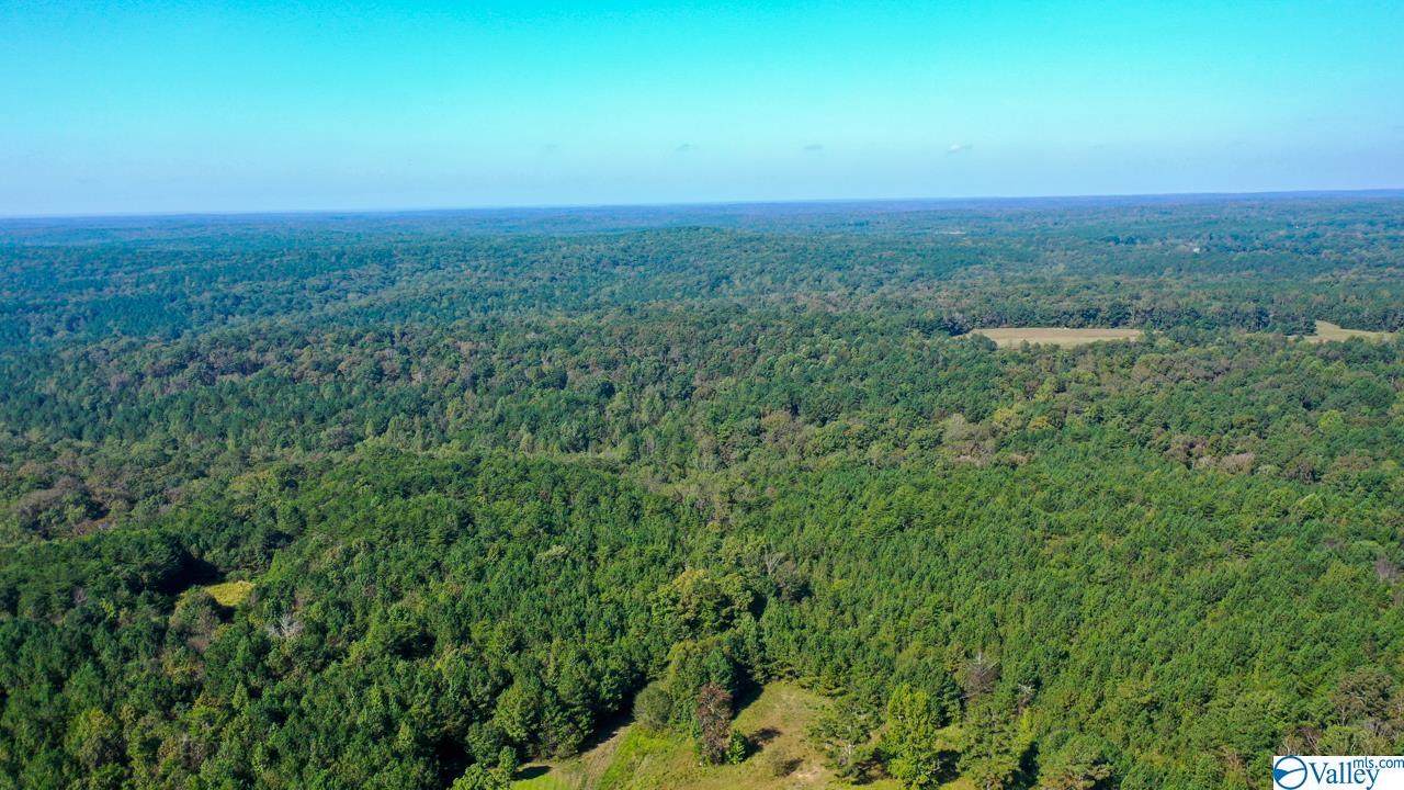 2945 County Road 79 - Photo 1