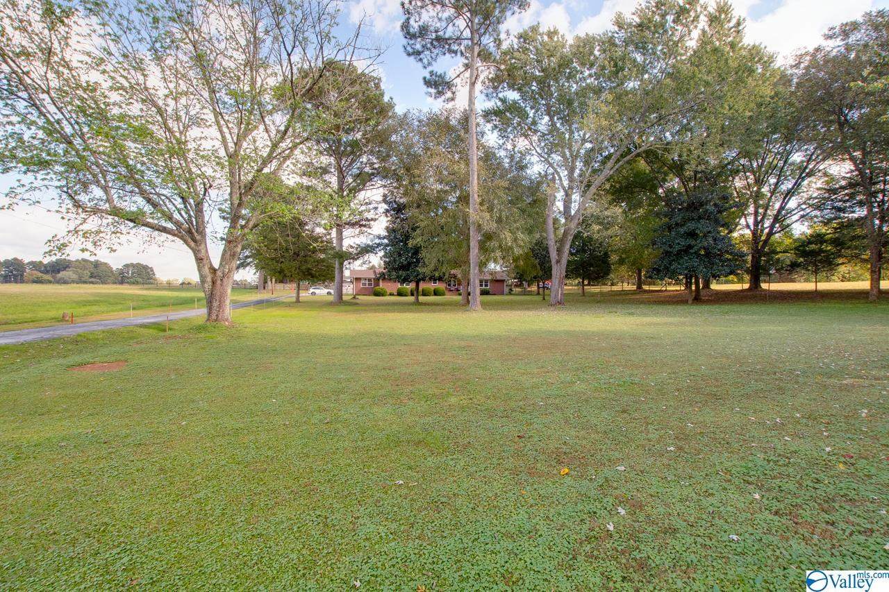 9073 Wall Triana Hwy - Photo 1