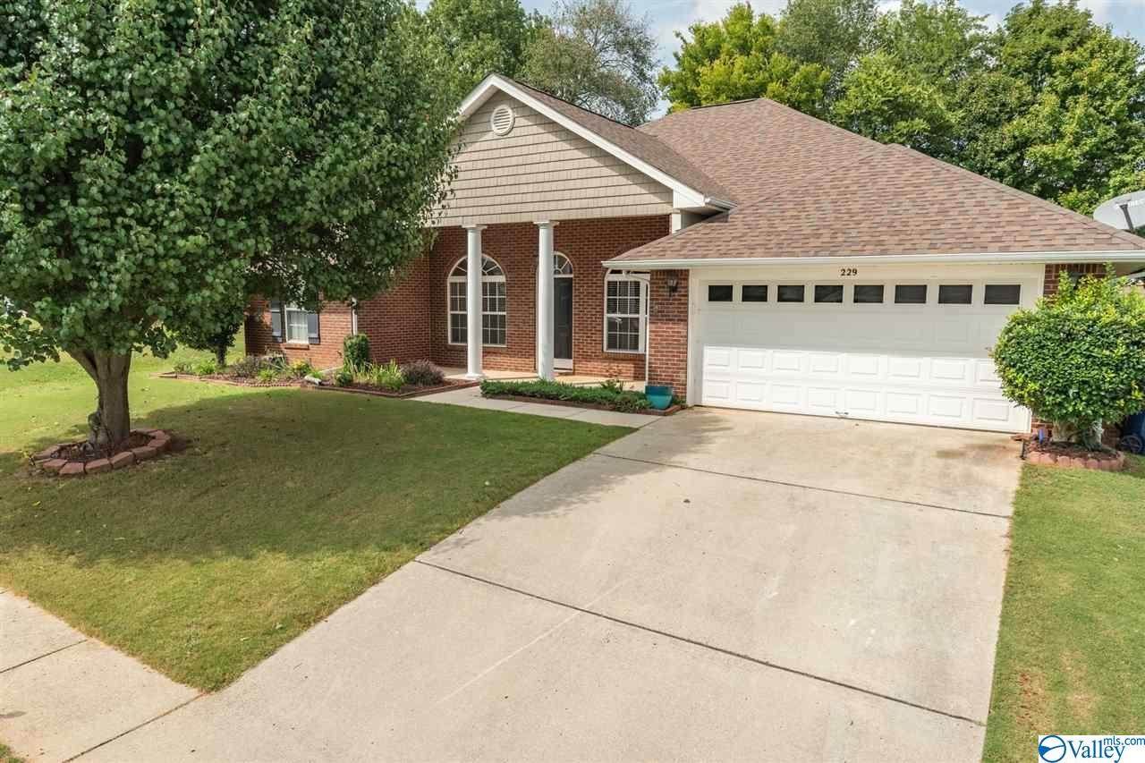 229 De Jan Road - Photo 1