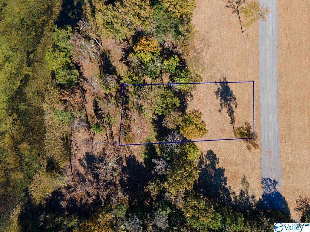 LOT 11 Lake Creek Drive - Photo 1