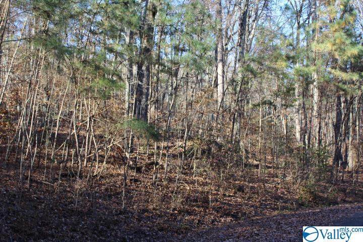 000 Tomahawk Circle - Photo 1