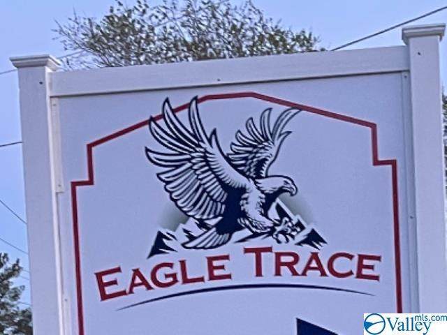 9201 Eagle Trace Drive - Photo 1