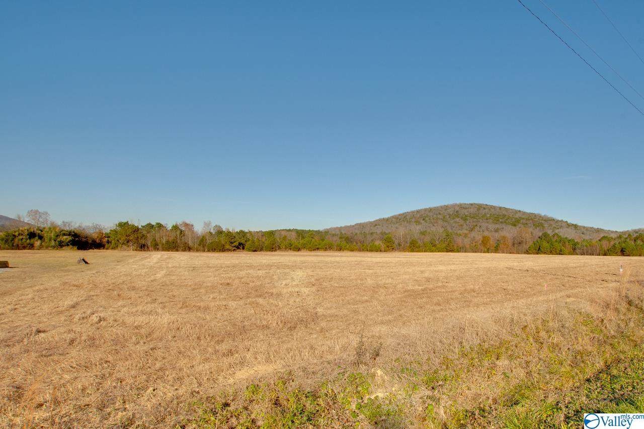11 Bush Road - Photo 1