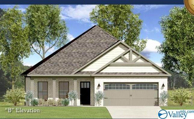 24291 Costello Drive - Photo 1