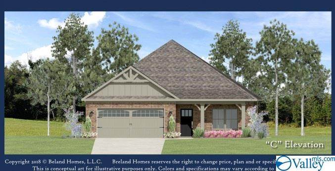 24200 Costello Drive - Photo 1