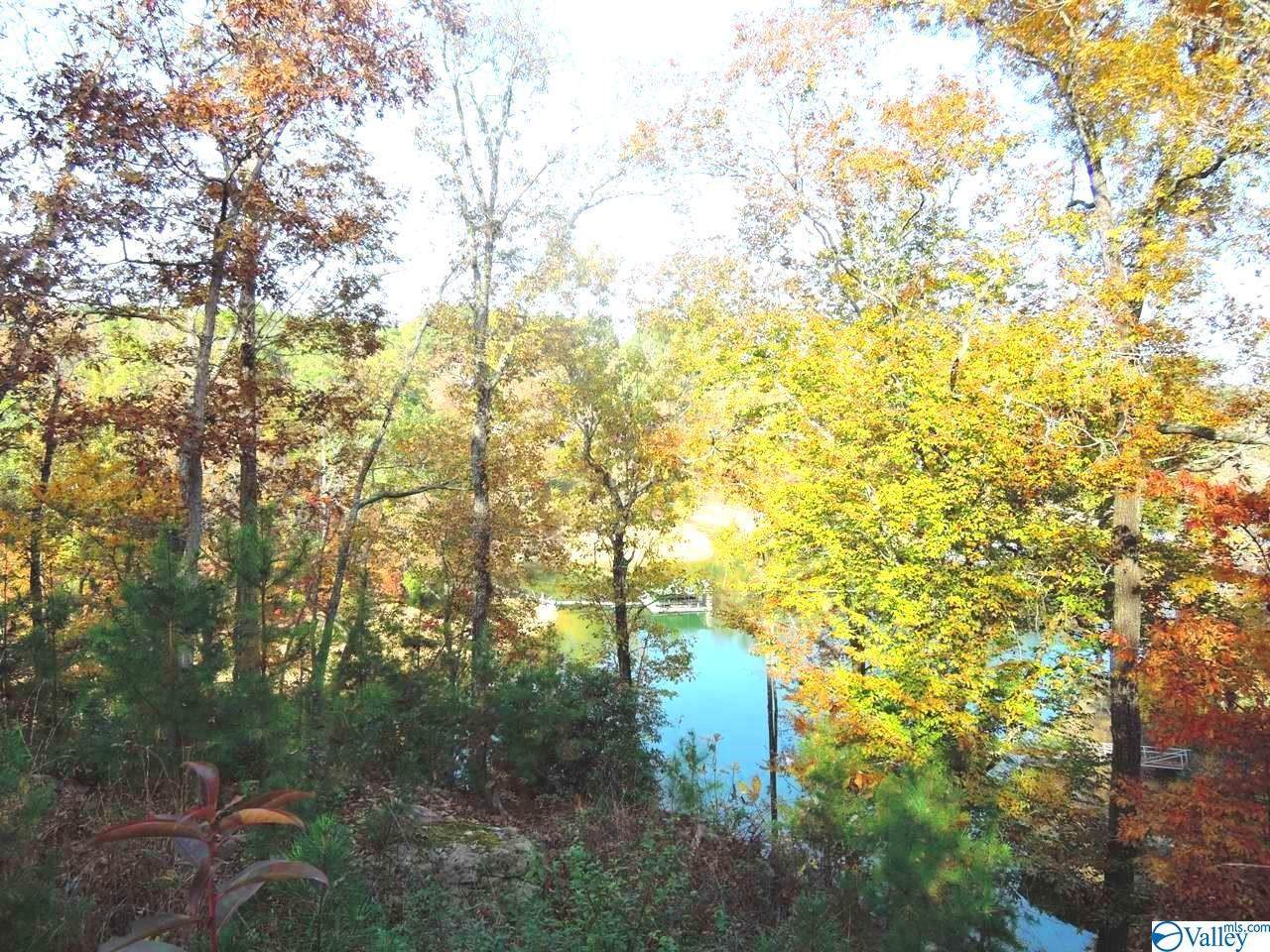 485 Rainwater Road - Photo 1