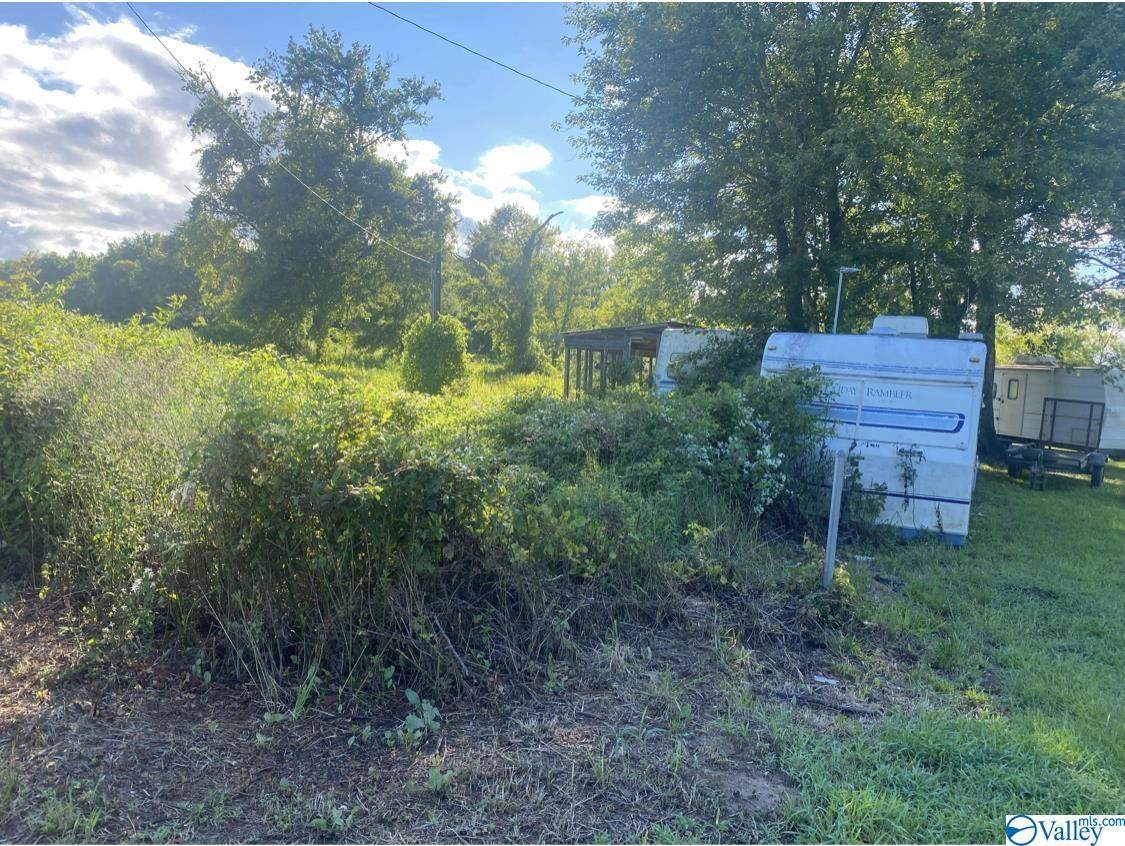 LOT 32 County Road 761 - Photo 1
