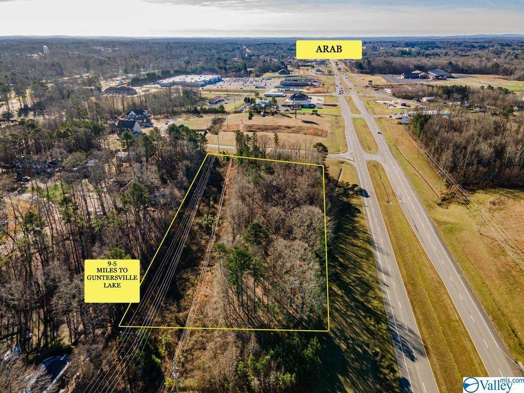 1746 Brindlee Mountain Parkway - Photo 1