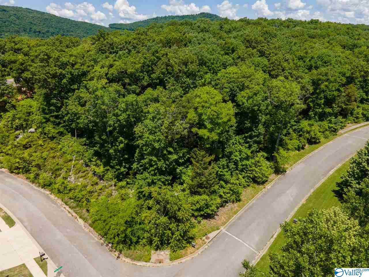 7012 Ridge Crest Road - Photo 1