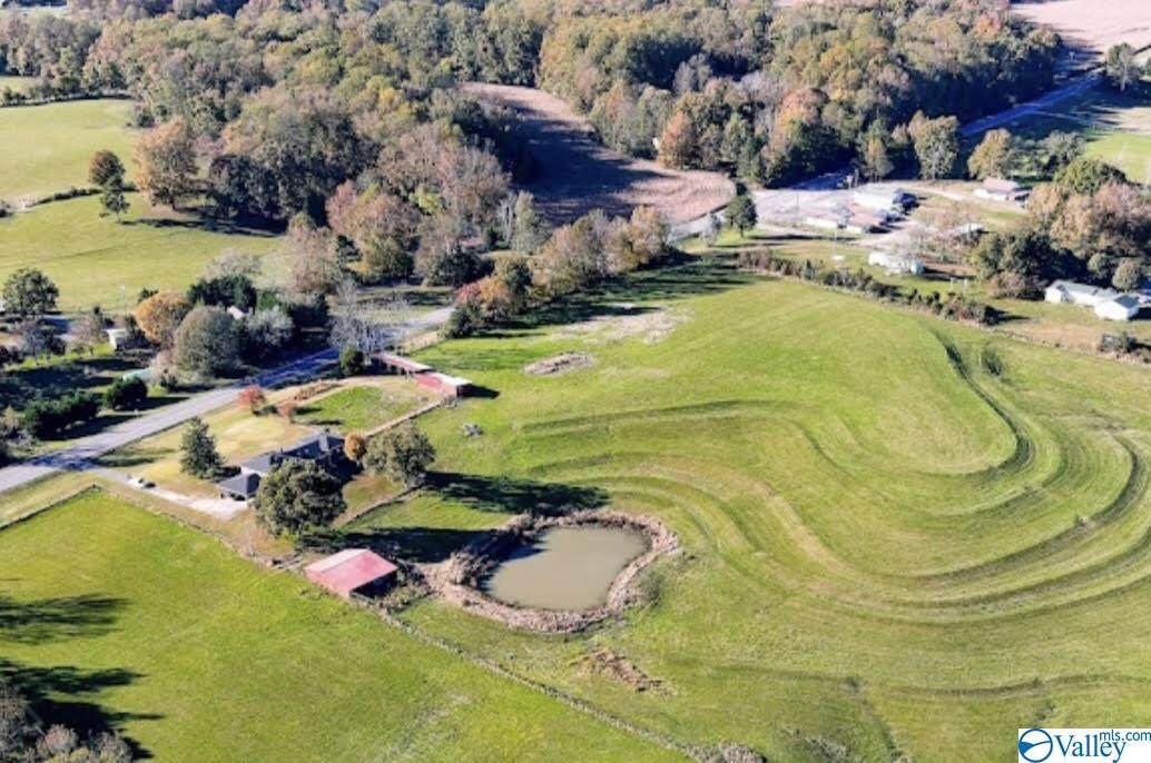 20748 Scottsboro Hwy 79 - Photo 1