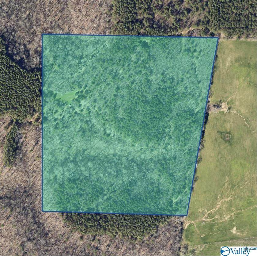 0 County Road 560 - Photo 1