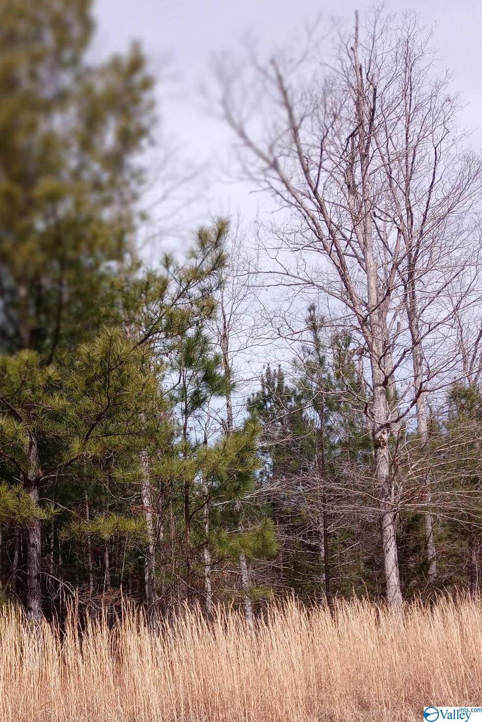 0 Stoney Point Road - Photo 1