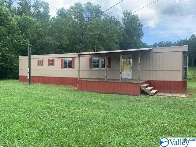 166 Sardis Cut Off Road - Photo 1