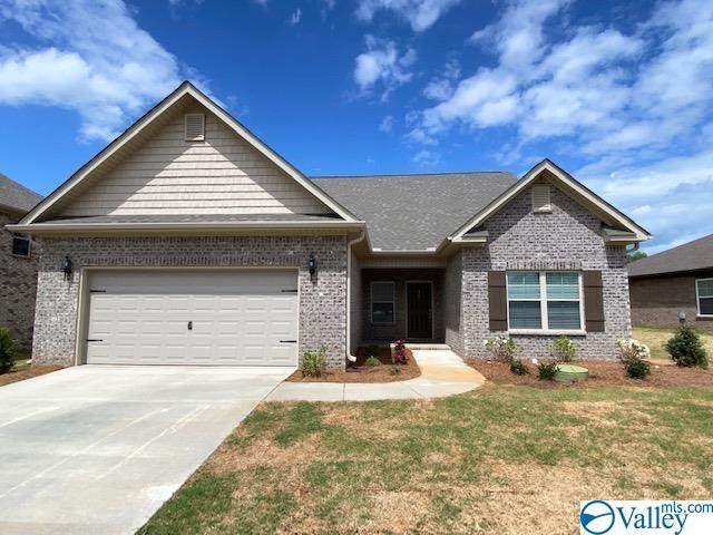 115 Rose Valley Drive - Photo 1