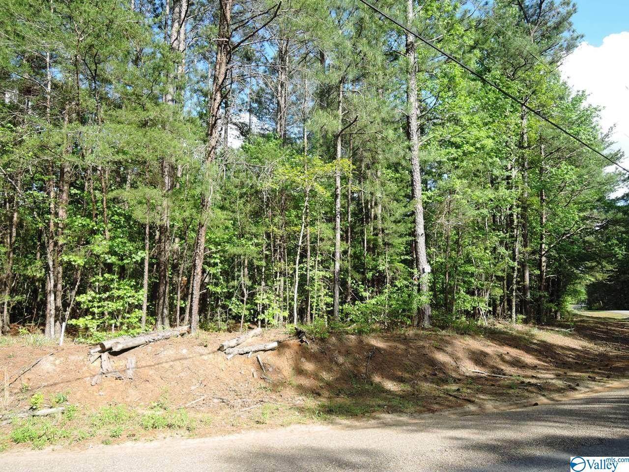 84 Harbor Lights Trail - Photo 1