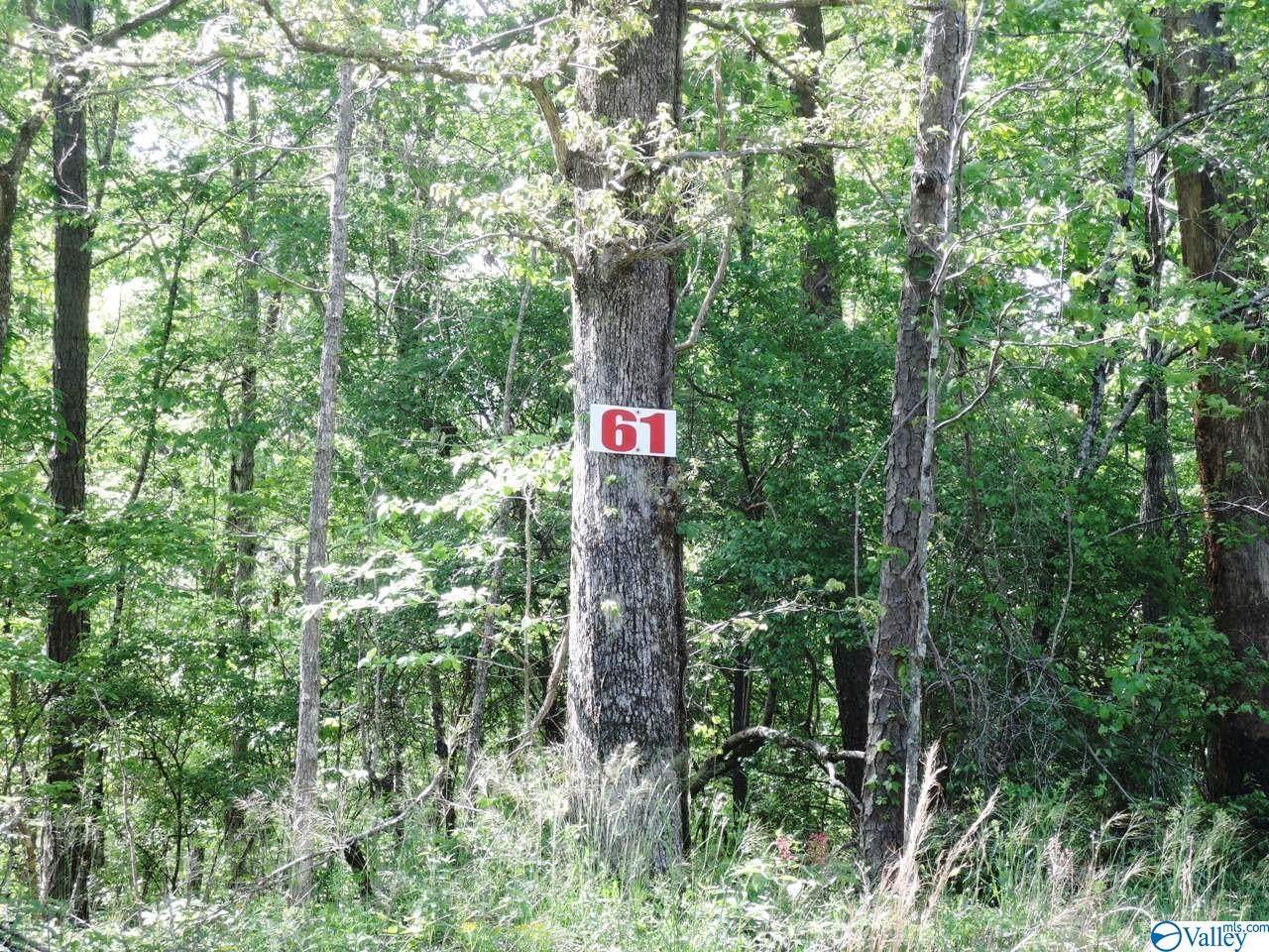 61 Harbor Loop - Photo 1
