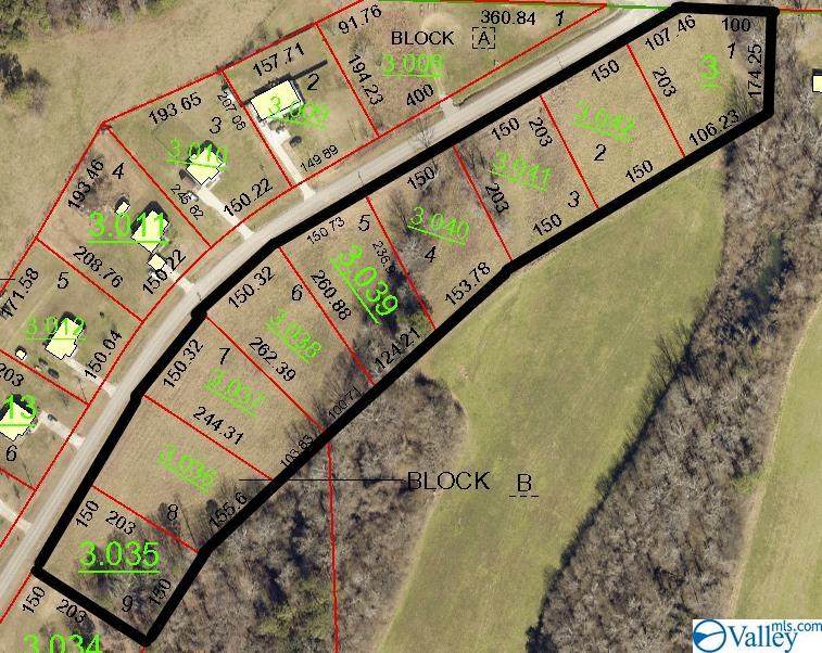 Lot 1-9 County Road 1223 - Photo 1