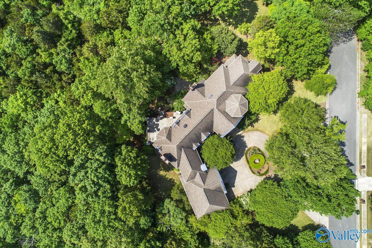 11009 Stone Mountain Drive - Photo 1