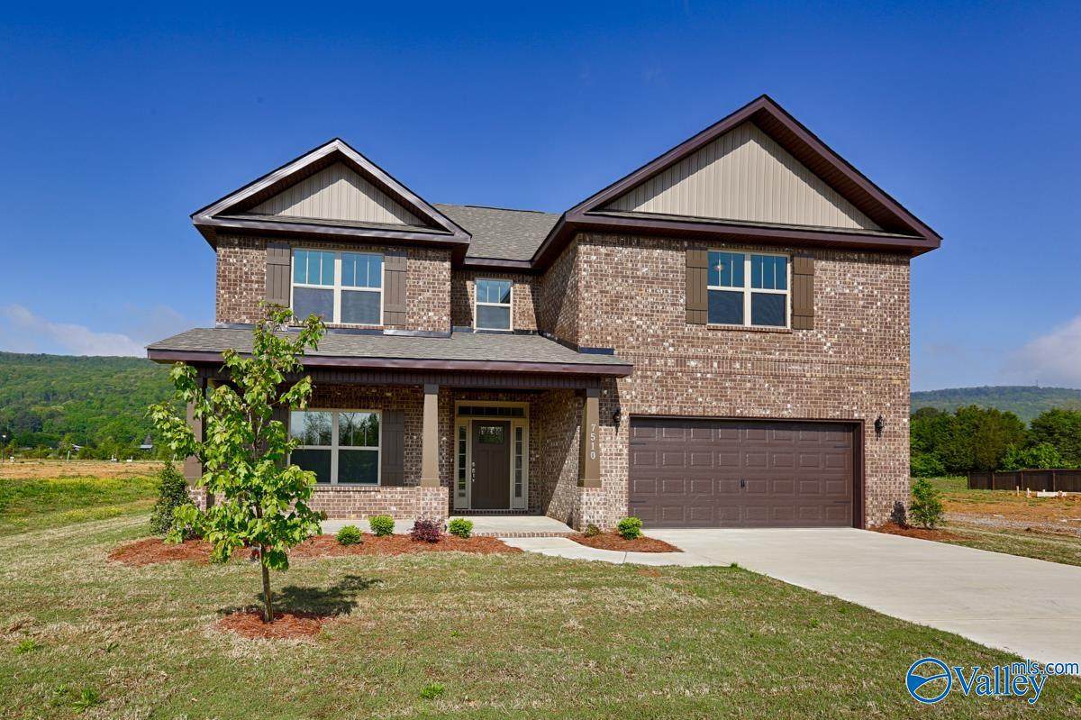 241 Paladin Street - Photo 1
