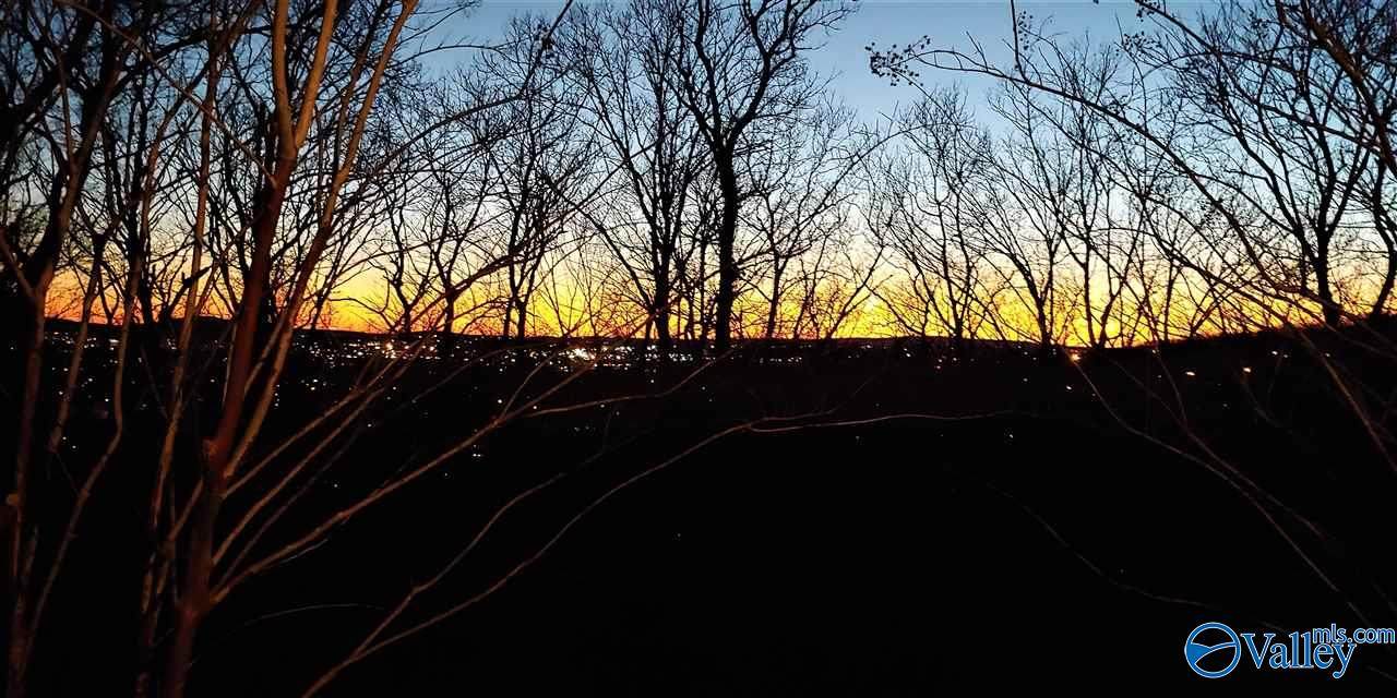 4015 High Mountain Road - Photo 1