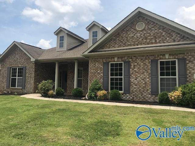178 Sarah Jane Drive - Photo 1