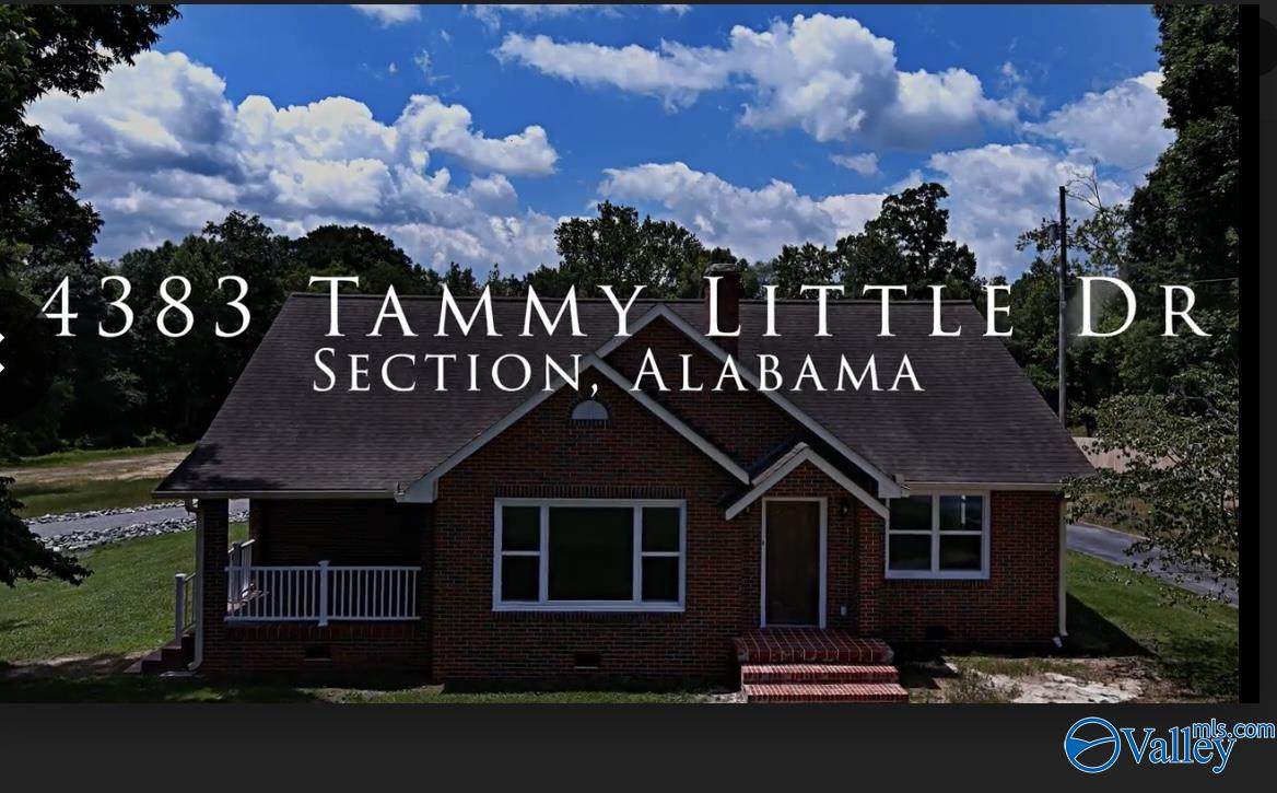 4383 Tammy Little Drive - Photo 1