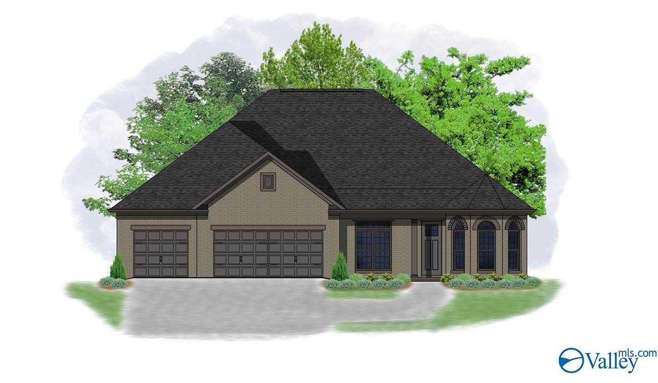 1303 Hackberry Lane - Photo 1