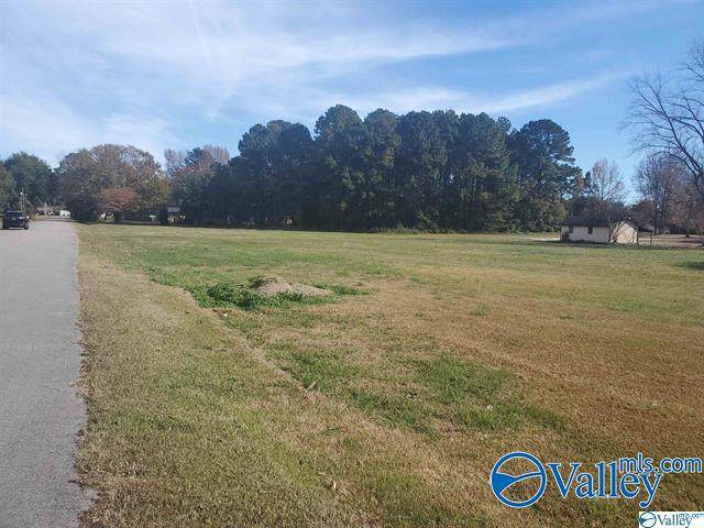 0 Atkins Drive - Photo 1