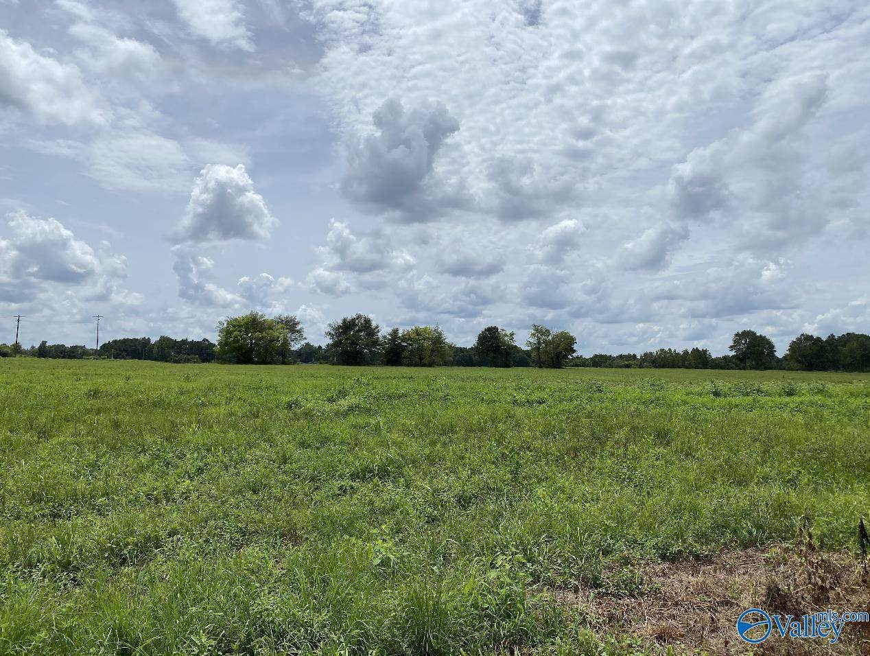 302 Reed Road - Photo 1