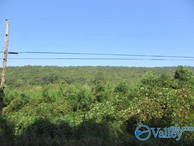 0 Owls Hollow Road - Photo 1