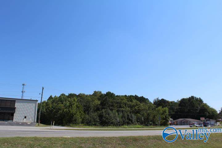 00 Brindlee Mountain Parkway - Photo 1