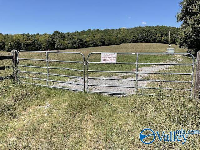 2700 Toll Gate Road - Photo 1