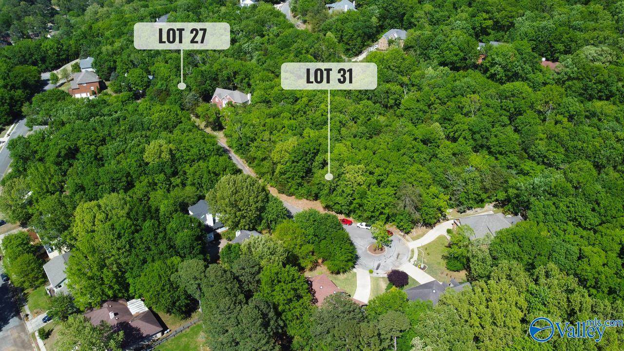 Lot 31 Burlington Drive - Photo 1