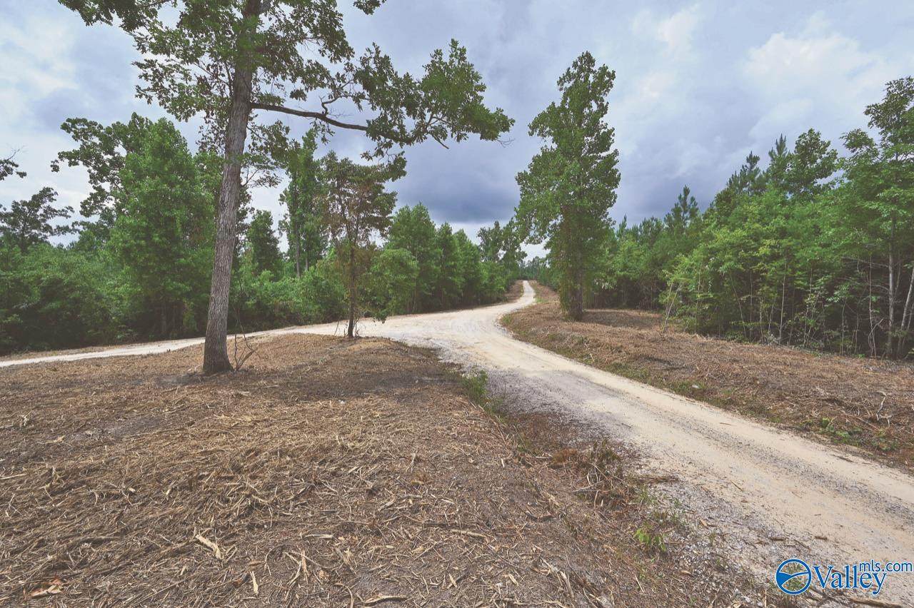 200 acres Byler Road, Mount Hope, AL 35651 (MLS 1836564) MarMac