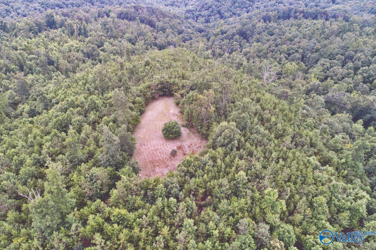 200 acres Byler Road, Mount Hope, AL 35651 (MLS 1836564) MarMac
