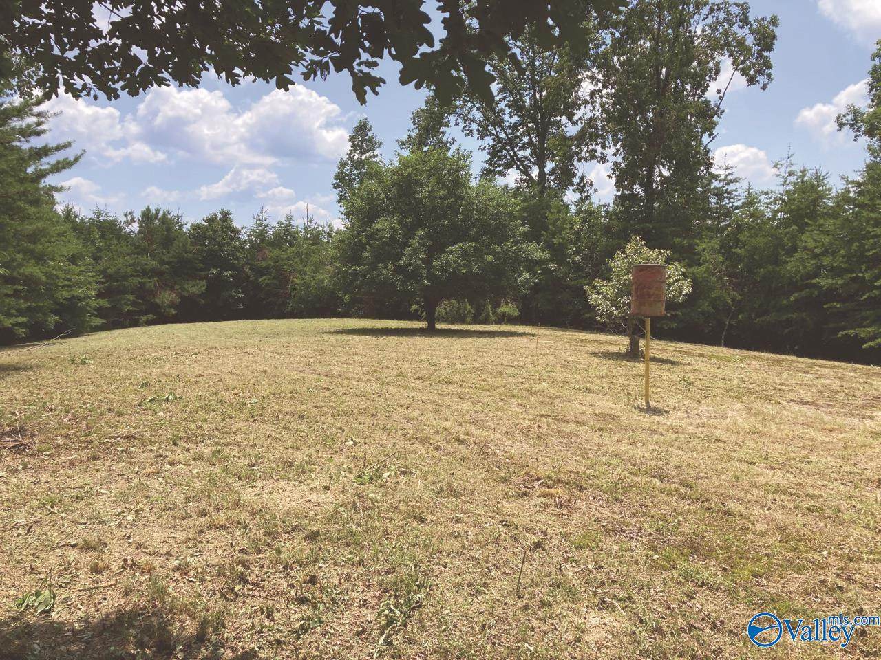 200 acres Byler Road, Mount Hope, AL 35651 (MLS 1836564) MarMac