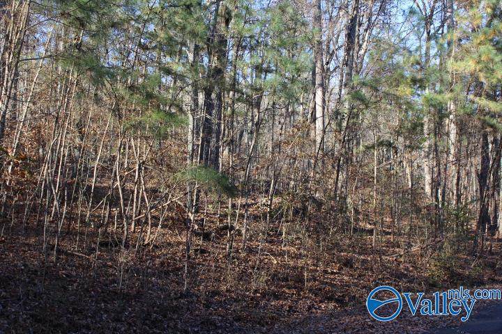404 Tomahawk Circle - Photo 1