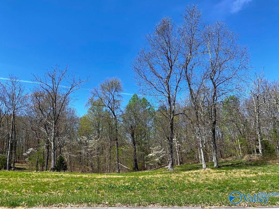 151 Ridgecreek Drive - Photo 1