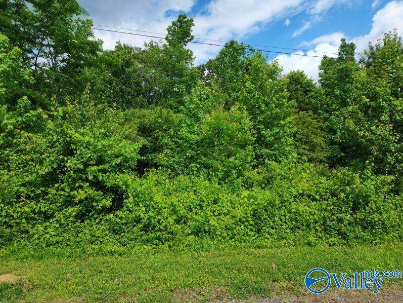 Lot Dolphin Point Drive - Photo 1