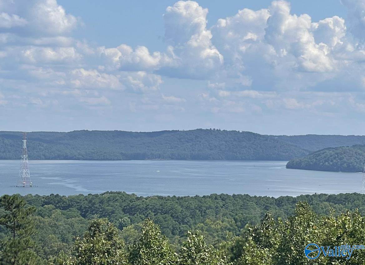 48 AC Mccorkle Mountain Road - Photo 1