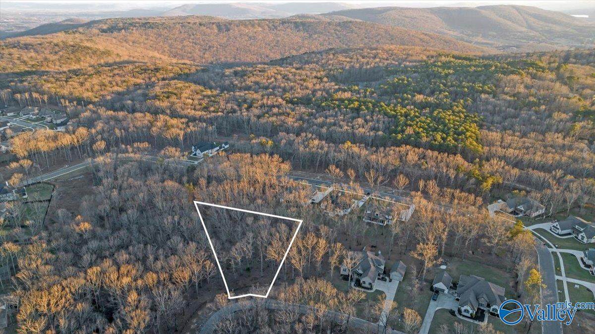 13347 South Village Square Road - Photo 1