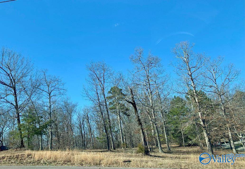 129 Ridgecreek Drive - Photo 1